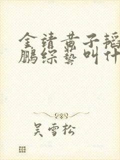 金靖黄子韬岳云鹏综艺叫什么节目