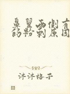 鼻翼两侧有白色的粉刺原因