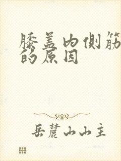膝盖内侧筋疼痛的原因封面