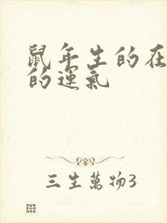 鼠年生的在今年的运气