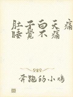 肚子白天痛晚上睡觉不痛