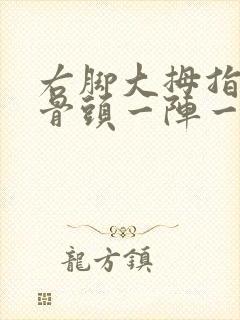右脚大拇指旁边骨头一阵一阵的刺痛封面