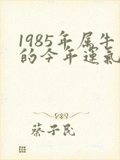 1985年属牛的今年运气怎么样