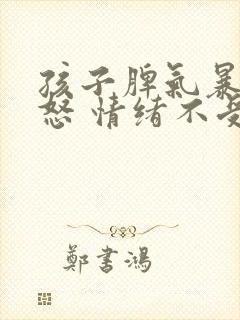孩子脾气暴躁易怒 情绪不受控制