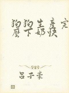 狗狗生产完吃什么下奶快