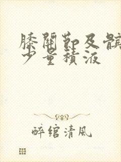 膝关节及髌上囊少量积液