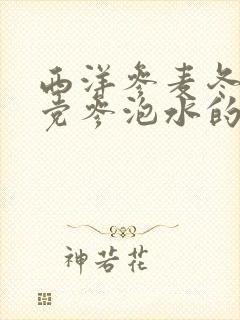西洋参麦冬黄芪党参泡水的功效