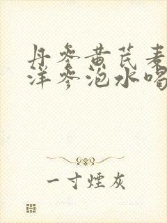丹参黄芪麦冬西洋参泡水喝的功效