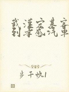 武汉宏基客运站到孝感汽车时刻表