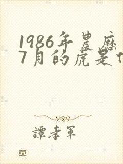 1986年农历7月的虎是什么命