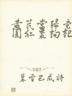 黄芪当归党参桂圆红枣枸杞的功效