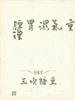 脾胃湿气重咋调理