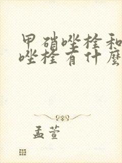 甲硝唑栓和克霉唑栓有什么区别