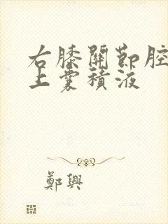右膝关节腔及髌上囊积液