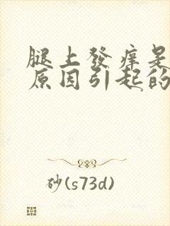 腿上发痒是什么原因引起的