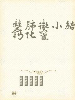 双肺微小结节,钙化灶封面