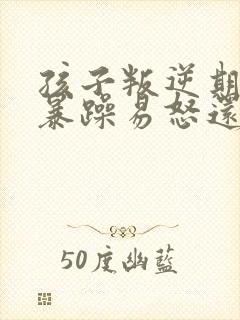 孩子叛逆期脾气暴躁易怒还骂人封面