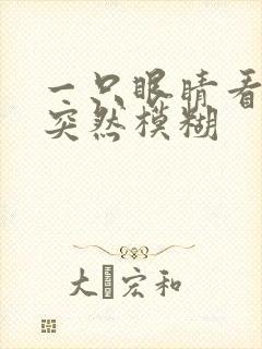 一只眼睛看东西突然模糊封面