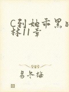 C到她乖黑暗森林11章封面