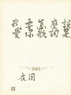 我要怎么说我不爱你歌词是什么歌