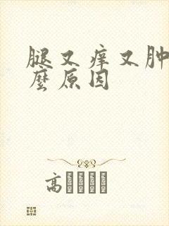 腿又痒又肿是什么原因