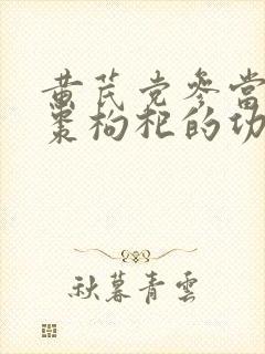黄芪党参当归大枣枸杞的功效与作用
