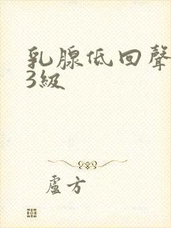 乳腺低回声结节3级