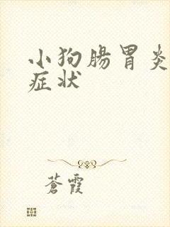 小狗肠胃炎什么症状
