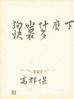 狗吃什么下奶最快最多封面