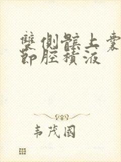 双侧髌上囊及关节腔积液