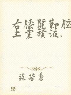 右膝关节腔及髌上囊积液.