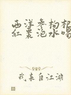 西洋参枸杞黄芪红枣泡水喝的功效及作用封面