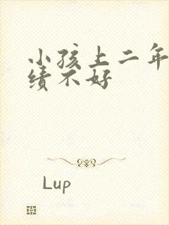小孩上二年级成绩不好