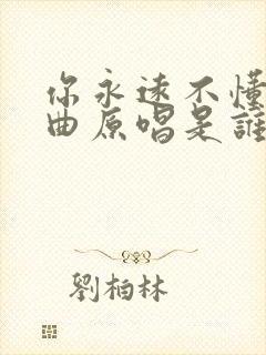 你永远不懂我歌曲原唱是谁唱的歌