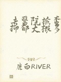 去医院检查是否抑郁大概多少钱