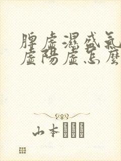 脾虚湿盛气血两虚阳虚怎么调理