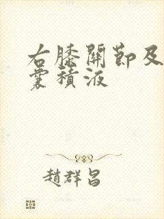 右膝关节及髌上囊积液