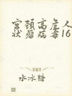 宫颈高危人乳头状瘤病毒16阳性