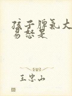 孩子脾气大暴躁易怒是