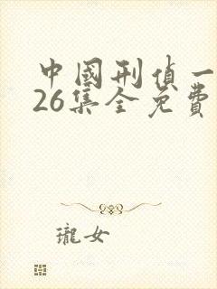 中国刑侦一号案26集全免费