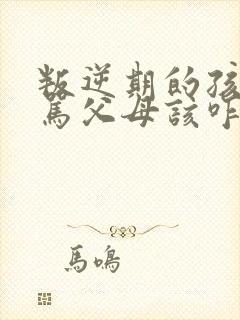 叛逆期的孩子打骂父母该咋办