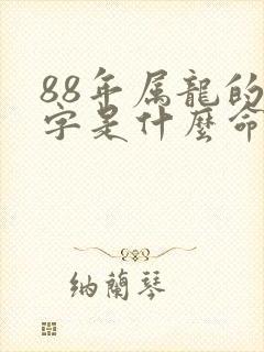 88年属龙的八字是什么命
