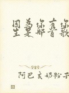 因为你有你的人生是哪首歌的歌词