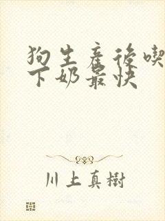 狗生产后吃什么下奶最快