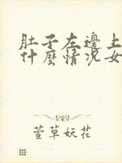 肚子左边上疼是什么情况女