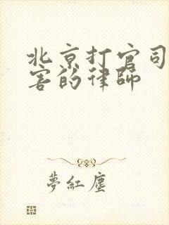 北京打官司最厉害的律师