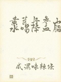 黄芪丹参山楂泡水喝降血脂吗