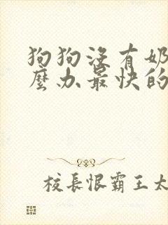 狗狗没有奶水怎么办最快的办法