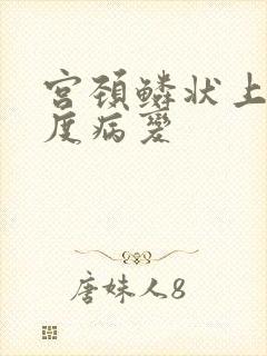 宫颈鳞状上皮高度病变