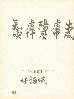 气虚阳虚出汗多吃什么中成药